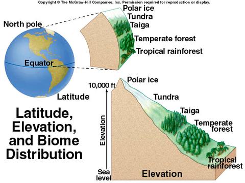 Der Einfluss der Höhe auf das Äquatorialklima