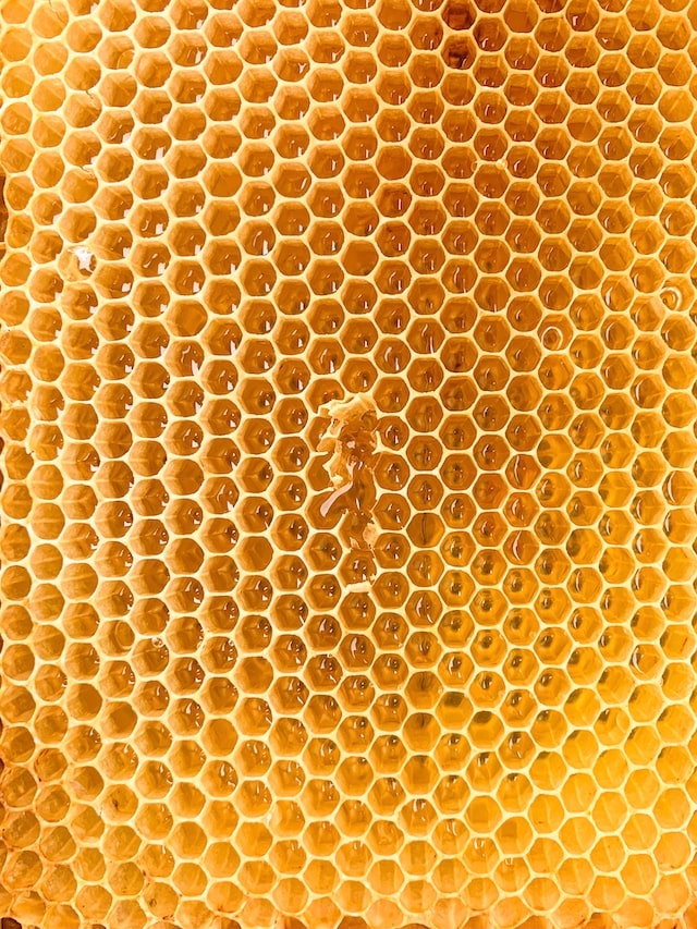The Manuka Honey Chronicles: Ein neuseeländisches Journal über Honig