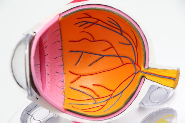 Die beste Pflege Ihrer Kontaktlinsen – Schritt für Schritt!